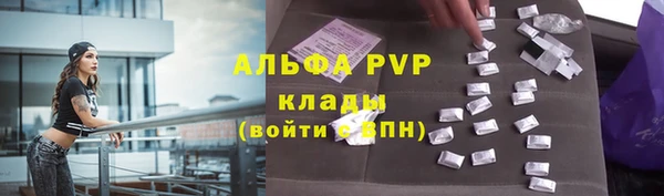 СК Аркадак