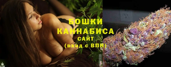 СК Аркадак